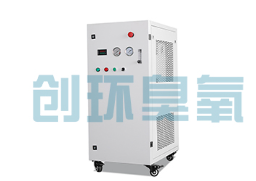 安平石斑鱼养殖水质调控完整指南：臭氧发生器配置与操作步骤